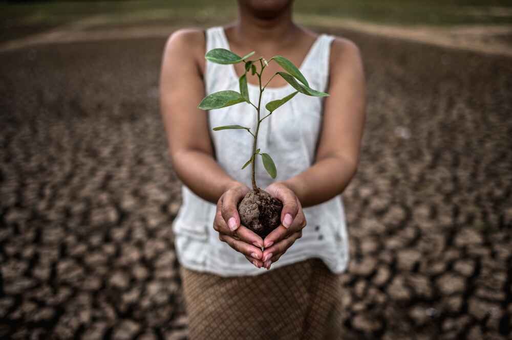 The Earth does not belong to us. We belong to the Earth